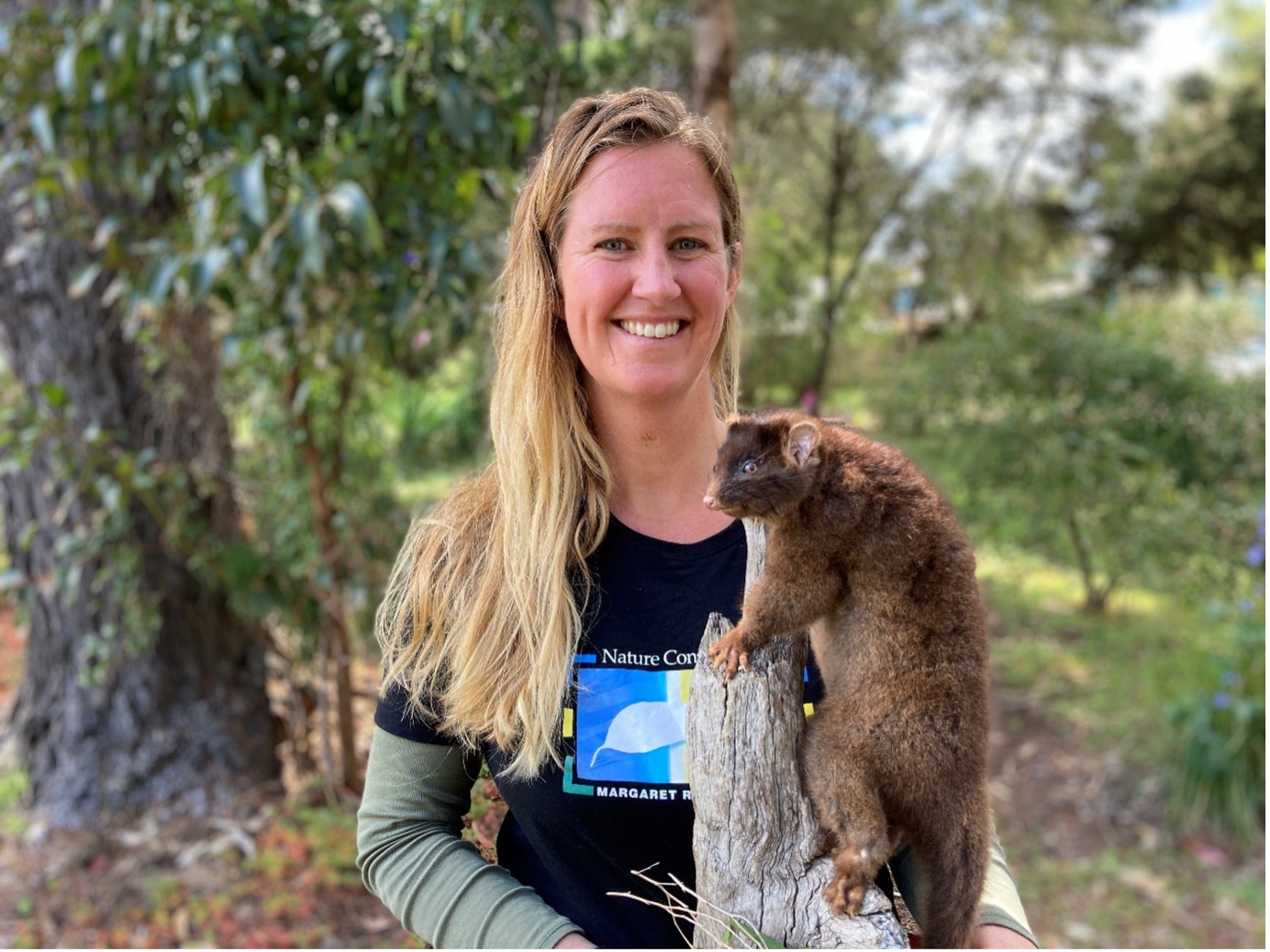 Free Festival Workshops 15 Free Festival Workshops 15